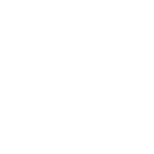 Especialistas en Servidores Dedicados, ERP on premise, Servidores para ERP y Nube Privada. Garantizamos Continuidad Operativa y soporte experto (SaaS). Cotiza tu servidor.